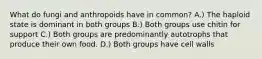 What do fungi and anthropoids have in common? A.) The haploid state is dominant in both groups B.) Both groups use chitin for support C.) Both groups are predominantly autotrophs that produce their own food. D.) Both groups have cell walls