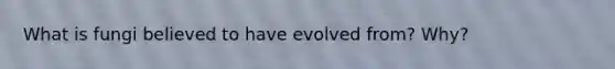 What is fungi believed to have evolved from? Why?