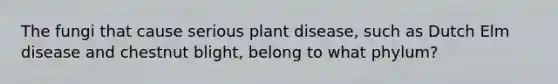 The fungi that cause serious plant disease, such as Dutch Elm disease and chestnut blight, belong to what phylum?