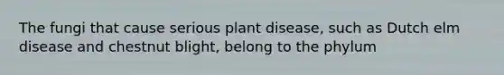 The fungi that cause serious plant disease, such as Dutch elm disease and chestnut blight, belong to the phylum