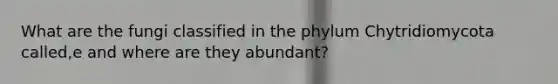 What are the fungi classified in the phylum Chytridiomycota called,e and where are they abundant?