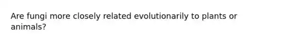 Are fungi more closely related evolutionarily to plants or animals?