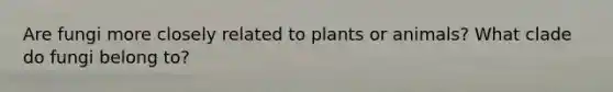 Are fungi more closely related to plants or animals? What clade do fungi belong to?