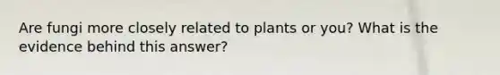 Are fungi more closely related to plants or you? What is the evidence behind this answer?