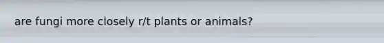 are fungi more closely r/t plants or animals?