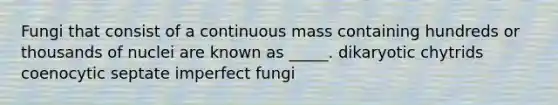 Fungi that consist of a continuous mass containing hundreds or thousands of nuclei are known as _____. dikaryotic chytrids coenocytic septate imperfect fungi