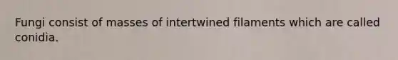 Fungi consist of masses of intertwined filaments which are called conidia.