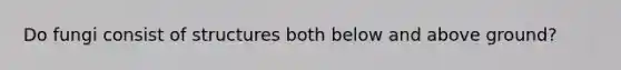 Do fungi consist of structures both below and above ground?