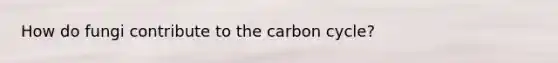 How do fungi contribute to the carbon cycle?