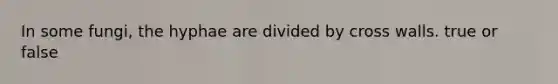 In some fungi, the hyphae are divided by cross walls. true or false