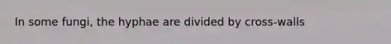 In some fungi, the hyphae are divided by cross-walls