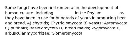 Some fungi have been instrumental in the development of human culture, including __________ in the Phylum ________ as they have been in use for hundreds of years in producing beer and bread. A) chytrids; Chytridiomycota B) yeasts; Ascomycota C) puffballs; Basidiomycota D) bread molds; Zygomycota E) arbuscular mycorhizae; Glomeromycota