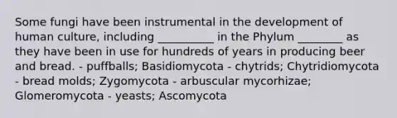 Some fungi have been instrumental in the development of human culture, including __________ in the Phylum ________ as they have been in use for hundreds of years in producing beer and bread. - puffballs; Basidiomycota - chytrids; Chytridiomycota - bread molds; Zygomycota - arbuscular mycorhizae; Glomeromycota - yeasts; Ascomycota