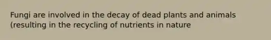 Fungi are involved in the decay of dead plants and animals (resulting in the recycling of nutrients in nature