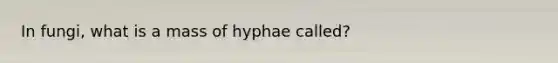 In fungi, what is a mass of hyphae called?