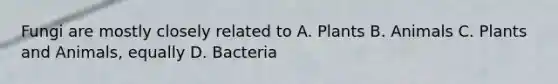 Fungi are mostly closely related to A. Plants B. Animals C. Plants and Animals, equally D. Bacteria