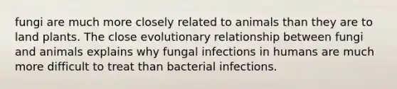 fungi are much more closely related to animals than they are to land plants. The close evolutionary relationship between fungi and animals explains why fungal infections in humans are much more difficult to treat than bacterial infections.