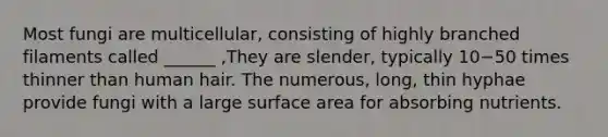 Most fungi are multicellular, consisting of highly branched filaments called ______ ,They are slender, typically 10−50 times thinner than human hair. The numerous, long, thin hyphae provide fungi with a large surface area for absorbing nutrients.