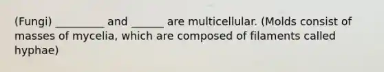 (Fungi) _________ and ______ are multicellular. (Molds consist of masses of mycelia, which are composed of filaments called hyphae)