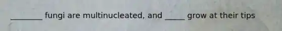 ________ fungi are multinucleated, and _____ grow at their tips