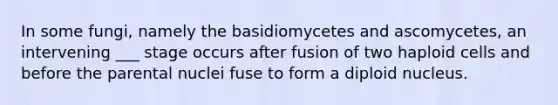 In some fungi, namely the basidiomycetes and ascomycetes, an intervening ___ stage occurs after fusion of two haploid cells and before the parental nuclei fuse to form a diploid nucleus.