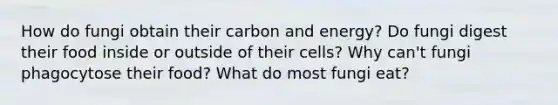 How do fungi obtain their carbon and energy? Do fungi digest their food inside or outside of their cells? Why can't fungi phagocytose their food? What do most fungi eat?