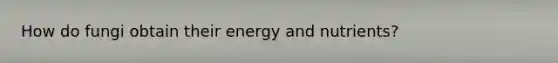 How do fungi obtain their energy and nutrients?