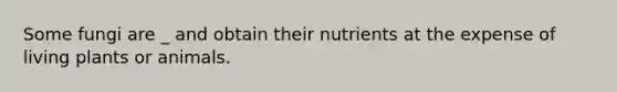 Some fungi are _ and obtain their nutrients at the expense of living plants or animals.