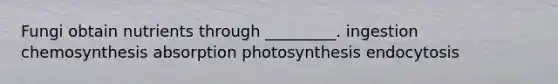 Fungi obtain nutrients through _________. ingestion chemosynthesis absorption photosynthesis endocytosis