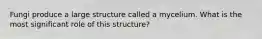 Fungi produce a large structure called a mycelium. What is the most significant role of this structure?