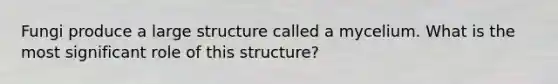 Fungi produce a large structure called a mycelium. What is the most significant role of this structure?