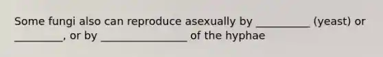 Some fungi also can reproduce asexually by __________ (yeast) or _________, or by ________________ of the hyphae