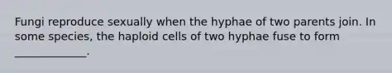 Fungi reproduce sexually when the hyphae of two parents join. In some species, the haploid cells of two hyphae fuse to form _____________.