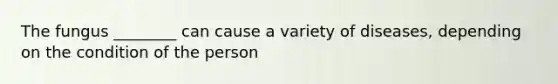 The fungus ________ can cause a variety of diseases, depending on the condition of the person