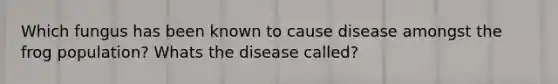 Which fungus has been known to cause disease amongst the frog population? Whats the disease called?