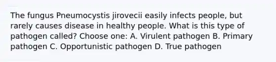 The fungus Pneumocystis jirovecii easily infects people, but rarely causes disease in healthy people. What is this type of pathogen called? Choose one: A. Virulent pathogen B. Primary pathogen C. Opportunistic pathogen D. True pathogen