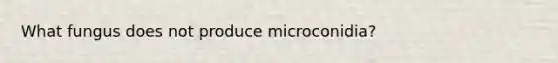 What fungus does not produce microconidia?