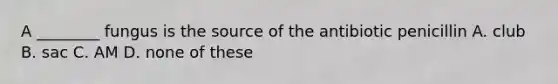 A ________ fungus is the source of the antibiotic penicillin A. club B. sac C. AM D. none of these