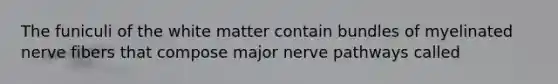 The funiculi of the white matter contain bundles of myelinated nerve fibers that compose major nerve pathways called