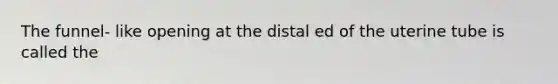 The funnel- like opening at the distal ed of the uterine tube is called the