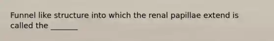 Funnel like structure into which the renal papillae extend is called the _______