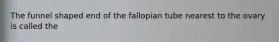 The funnel shaped end of the fallopian tube nearest to the ovary is called the