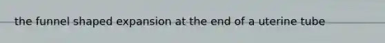 the funnel shaped expansion at the end of a uterine tube