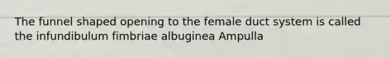 The funnel shaped opening to the female duct system is called the infundibulum fimbriae albuginea Ampulla