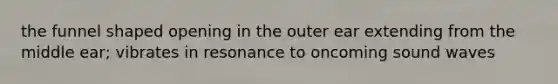 the funnel shaped opening in the outer ear extending from the middle ear; vibrates in resonance to oncoming sound waves