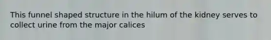 This funnel shaped structure in the hilum of the kidney serves to collect urine from the major calices