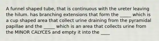 A funnel shaped tube, that is continuous with the ureter leaving the hilum. has branching extensions that form the _____ which is a cup shaped area that collect urine draining from the pyramidal papillae and the _____ which is an area that collects urine from the MINOR CALYCES and empty it into the ____