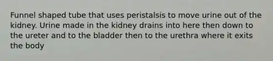 Funnel shaped tube that uses peristalsis to move urine out of the kidney. Urine made in the kidney drains into here then down to the ureter and to the bladder then to the urethra where it exits the body