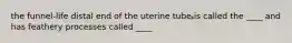 the funnel-life distal end of the uterine tube is called the ____ and has feathery processes called ____