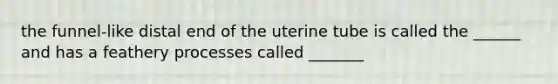 the funnel-like distal end of the uterine tube is called the ______ and has a feathery processes called _______